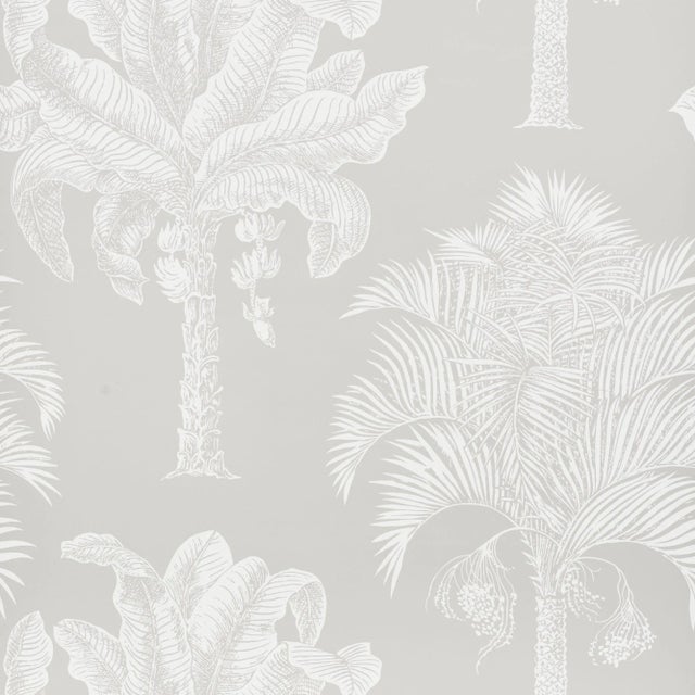 Schumacher Grand Palms Wallpaper in Dove For Sale