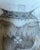 Graham Carter, Waiting With Owl For Sale - Image 4 of 5