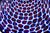 Murano Glass Vase with Floating Murrine Mosaic in Blue and Red, 1980s For Sale - Image 4 of 18