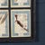 Large Italian Pressed Flowers and Herbs in Oak Frame, 1950s For Sale - Image 11 of 15