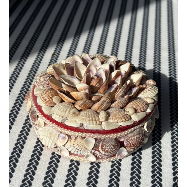 Vintage Palm Beach / Coastal Style Round Shell Encrusted Lidded Box For Sale - Image 10 of 12