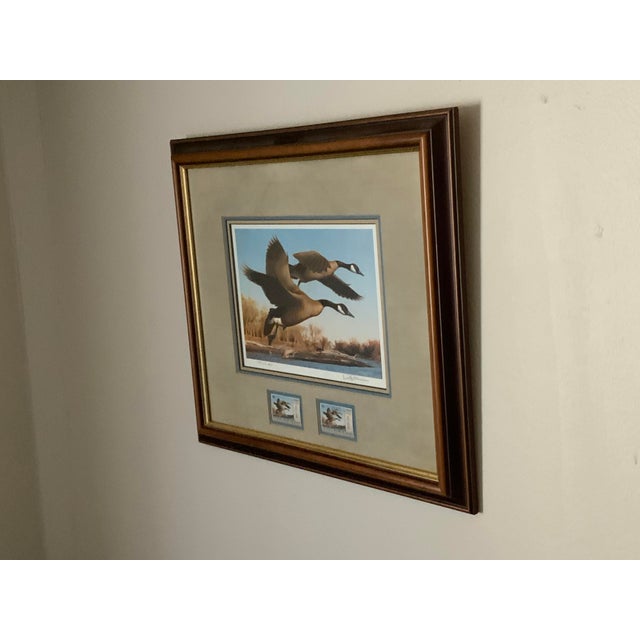 Chestnut 1982-1983 Federal Duck Stamp Limited-Edition Print “Canvasback” by David Maass- Framef For Sale - Image 8 of 8