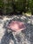 1970s Vintage Kohler K-2930 Hexsign Hexagon Sink in Wild Rose Pink With Original Faucets For Sale - Image 5 of 14