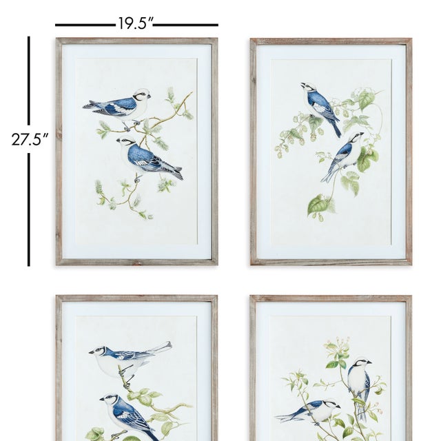 In a soothing blue and green palette, this bird study set of four prints adds a touch of nature or the bird lover in all...