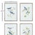 In a soothing blue and green palette, this bird study set of four prints adds a touch of nature or the bird lover in all...