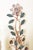 Wall Lights with Crystal Glass Flowers and Marbled Metal attributed to Maison Baguès, 1950s, Set of 2 For Sale - Image 6 of 15