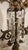 Metal Mid 19th Century Victorian Bronze and Crystal Candelabra For Sale - Image 7 of 9