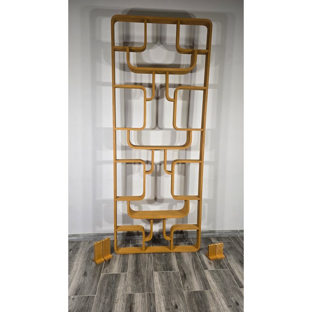 Room Dividers by Ludvik Volak for Drevopodnik Holesov, 1950s, Set of 2 For Sale - Image 11 of 12