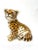 1970's Italian Ceramic Baby Leopard Sculpture. Made in Italy . Collectible and decorative. Dimensions: Height: 11.5 in...