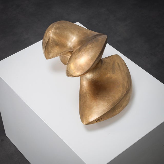 Metal Felix Van de Beek, Abstract Biomorphic Sculpture, 21st Century, Bronze For Sale - Image 7 of 10