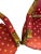 Late 20th Century Pair of French Gilt Louis the XVI Bee Chairs For Sale - Image 9 of 12