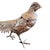 Italian Silver-Plated Bronze Pheasant Sculptures, 1970, Set of 2 For Sale - Image 4 of 9