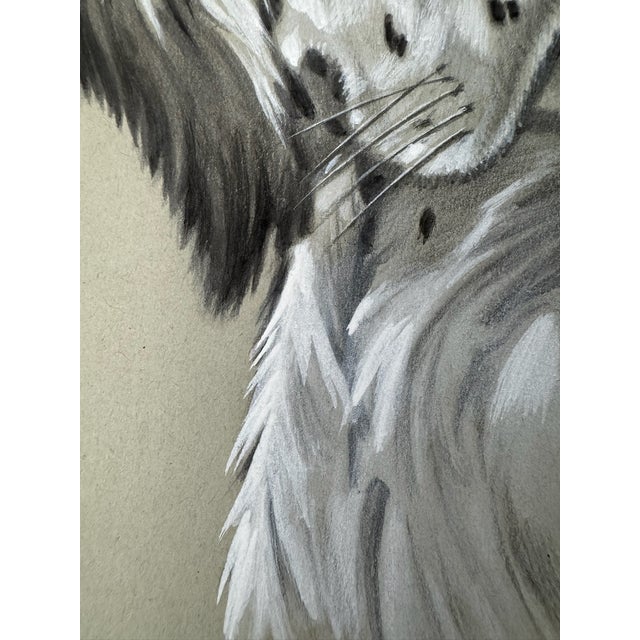 Illustration 1940s Original Signed Graphite Illustration of English Setter Dog Portrait, 11 × 8.25 In. For Sale - Image 3 of 6