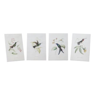 Tabletop Encyclopedia Hummingbird Print (Set of 4) For Sale