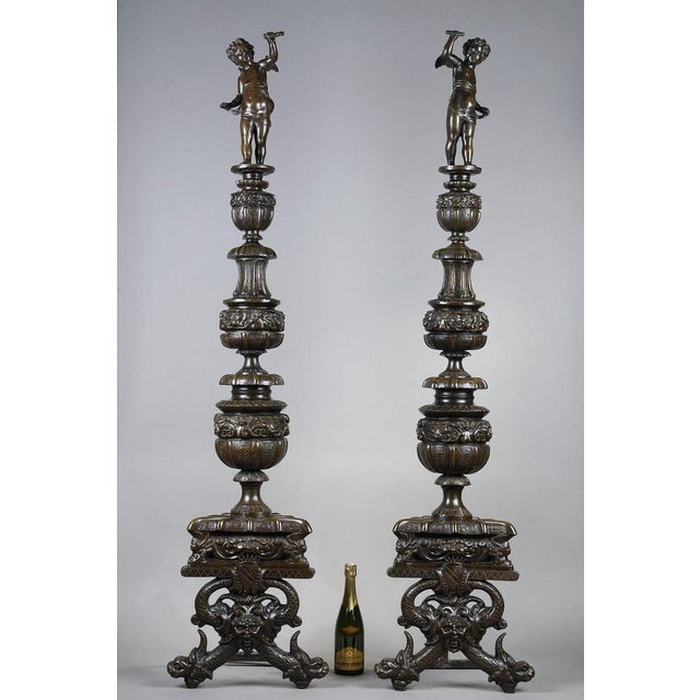 An important patinated bronze pair of firedogs andirons in Renaissance taste decorated with an alternation of flowery...