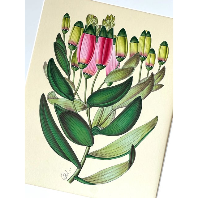 This exquisite botanical painting is hand-painted with acrylic paint and natural pigments on handmade paper by our master...