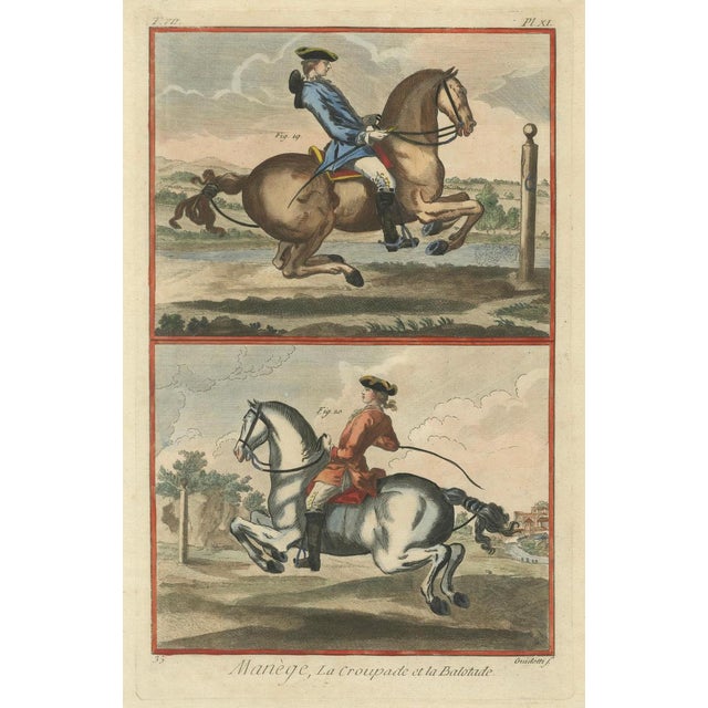 French School Artist, Haute École Horsemanship, 1750s, Engravings, Set of 2 For Sale - Image 5 of 10