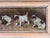 American Early 20th Century American School Painting of Jack Russell Terrier Puppies For Sale - Image 3 of 5