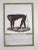 Realism Authentic Antique Italian 18th Century Hand Colored Copperplate Monkey Engravings - A Pair For Sale - Image 3 of 5