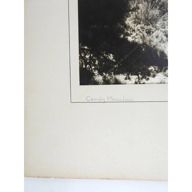 1950's silver albumen photograph by Lloyd M Pyeatt (Texas Photographer and 1Geologist) of Candy Mountain in Zion National...