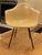 Parchment (cream-colored) vintage Eames Herman Miller molded fiberglass Arm Shell chair with black H base and walnut...