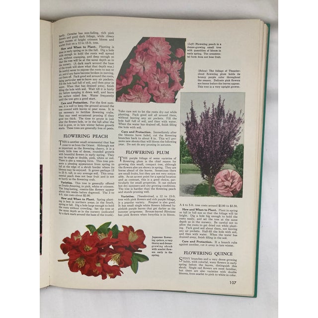The Complete Guide to Garden Flowers / a Vintage Encyclopedia of Garden Planning / 1972 For Sale - Image 10 of 12