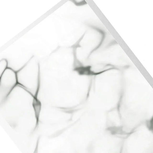 Brand New Hahnemuhle Fine Art Pearl Paper This piece has an attribution mark, I am sure that it is completely authentic...