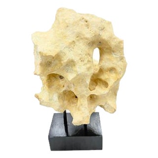 Indonesian Coral Stone On Teak Stand For Sale