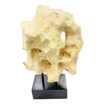 Indonesian Coral Stone On Teak Stand For Sale