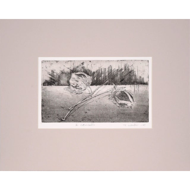 Black "Ii Cottonballs" - Intaglio Print by Tomoya Uchida For Sale - Image 8 of 8
