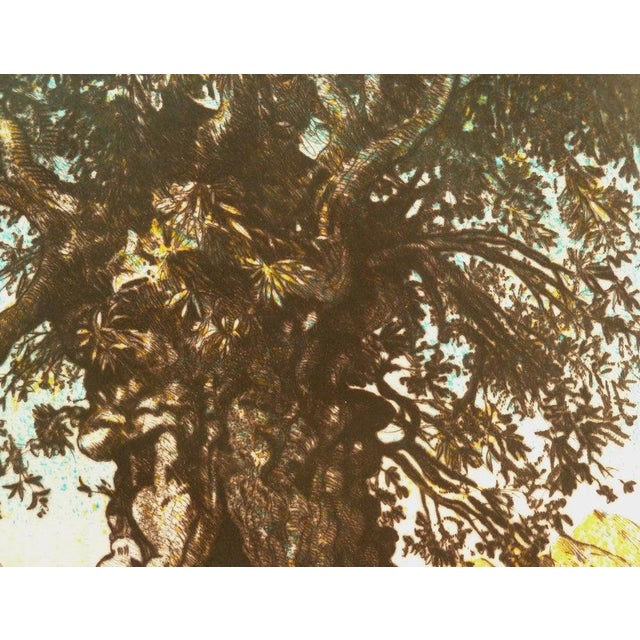 Gerard Diaz, L'olivier, Etching For Sale - Image 4 of 7