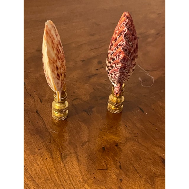 Gorgeous double sided clam sea shells on bronze lamp finials.