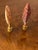 Gorgeous double sided clam sea shells on bronze lamp finials.