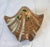 Vintage Footed Brass Shell Catchall or Soap Dish For Sale - Image 12 of 12