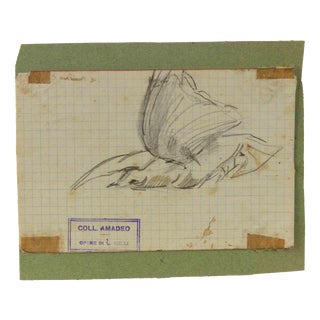 Luigi Galli, Anatomical Studies, Late 19th Century, Pencil on Paper For Sale