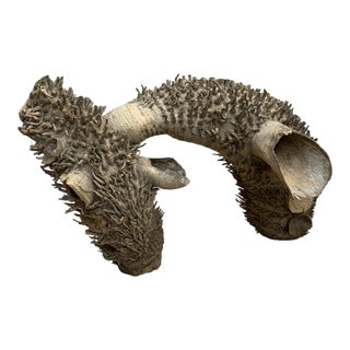 African Natural Wood Root Sculpture For Sale