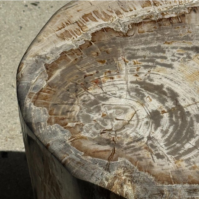 Large Side Table in White and Grey Petrified Wood For Sale - Image 5 of 18