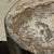Large Side Table in White and Grey Petrified Wood For Sale - Image 5 of 18