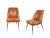 Set of Campanula Chairs in Brown Leather and Brass by Carlo Pagani for Arflex, 1952 For Sale - Image 11 of 11