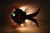 Mid-Century Red Fish with Aquamarine Eye Wall Light, 1950s For Sale - Image 10 of 14