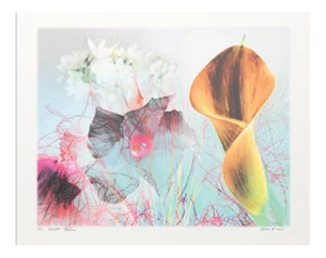 Michael Knigin, Flowers Cviii, Archival Pigment Print
