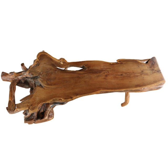 Large Sculptural Rootwood Coffee Table, 1970s For Sale - Image 14 of 16