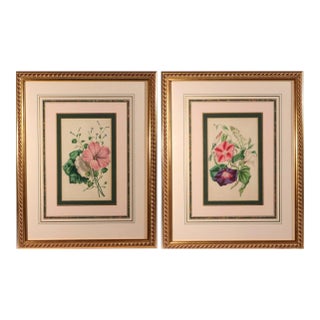 Lessons From the Vegetable World: Robert Mackenzie Stark Botanical Prints 1858 For Sale