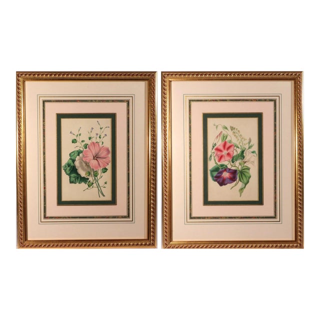 Lessons From the Vegetable World: Robert Mackenzie Stark Botanical Prints 1858 For Sale