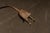 Brass Mid 20th Century Mid-Century Modern Torchiere Floor Lamp With Capiz Shell Shade For Sale - Image 8 of 8