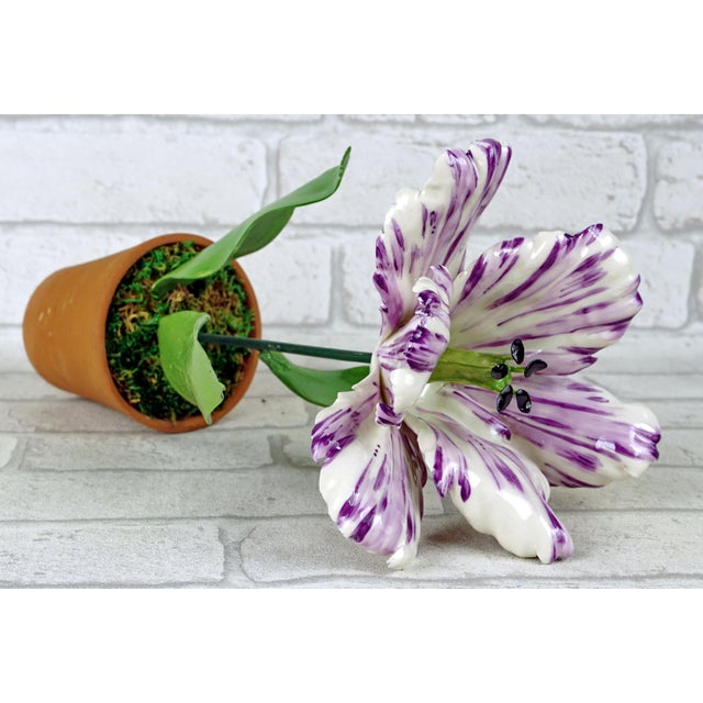 White Parrot Tulip Flamed With Violet in Porcelain by Didier Gardillou For Sale - Image 6 of 7