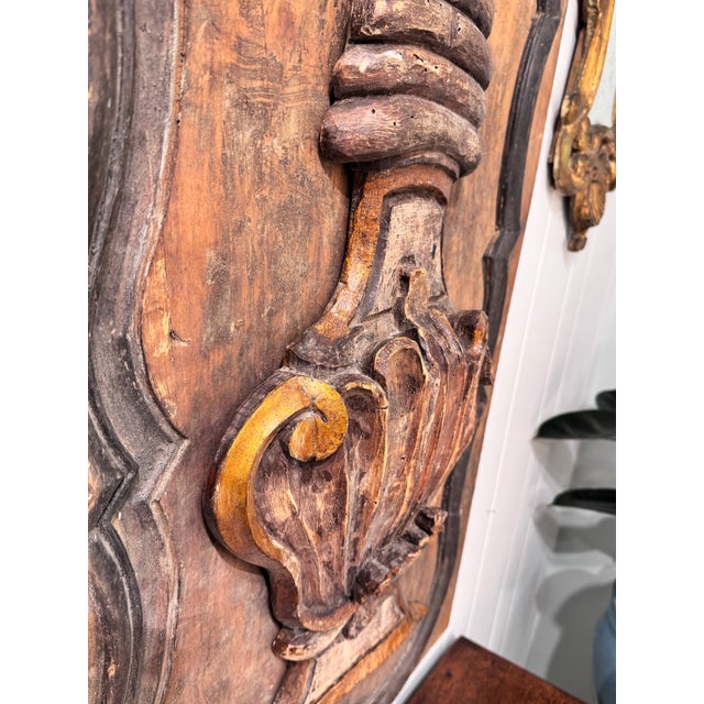 Brown 19th Century Italian Door Panel For Sale - Image 8 of 9
