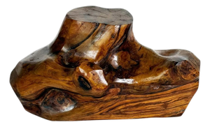 Vintage French Olive Wood Box, 1960