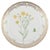 Ceramic Flora Danica Lunch Plate in Hand-Painted Porcelain with Flowers from Royal Copenhagen, 1963 For Sale - Image 7 of 7