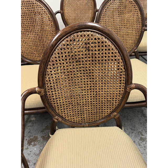 McGuire Furniture Double Cane Oval Back Dining Chairs, Set of Six For Sale In San Francisco - Image 6 of 12